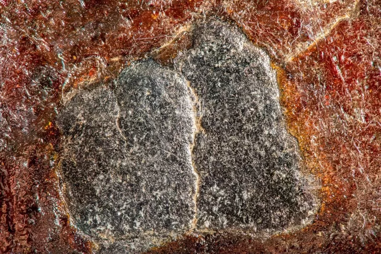 WhatsApp Image 2021-05-07 at 12.19.25 PM