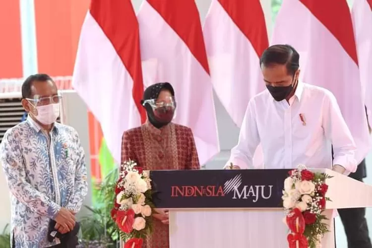 WhatsApp Image 2021-05-07 at 12.35.45 PM