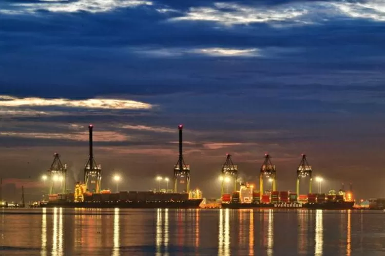 WhatsApp Image 2021-05-12 at 2.15.53 PM