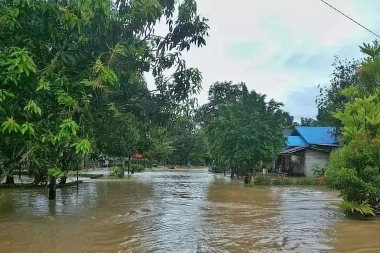 WhatsApp Image 2021-05-13 at 10.17.00 PM