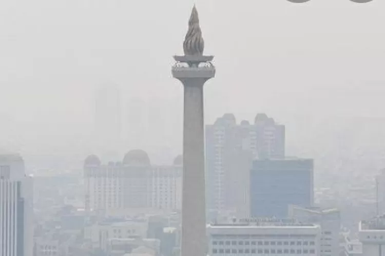 WhatsApp Image 2021-05-14 at 5.26.56 PM