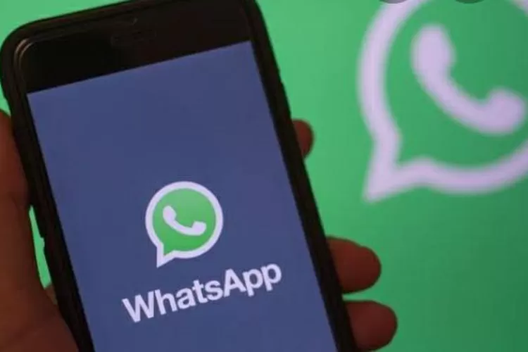 WhatsApp Image 2021-05-20 at 1.27.12 AM