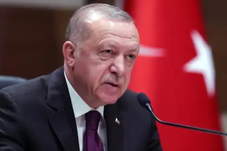 WhatsApp Image 2021-05-20 at 12.03.59 PM