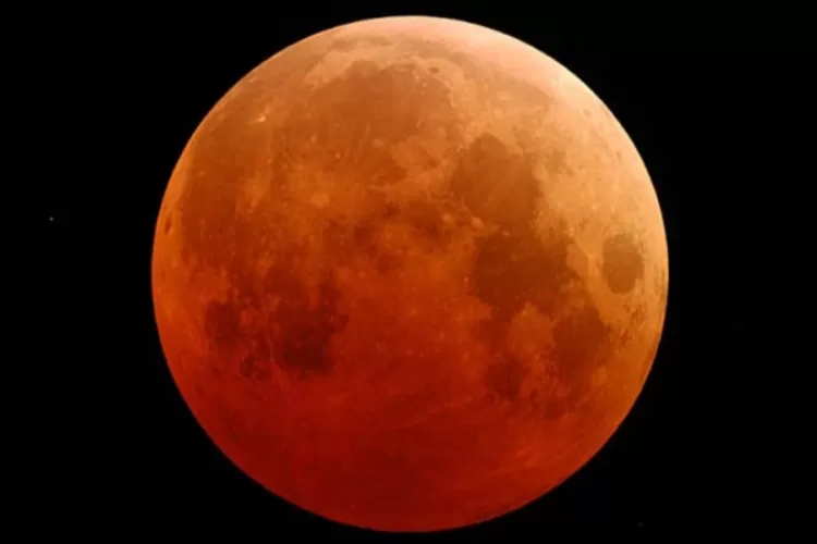 WhatsApp Image 2021-05-22 at 9.23.43 PM