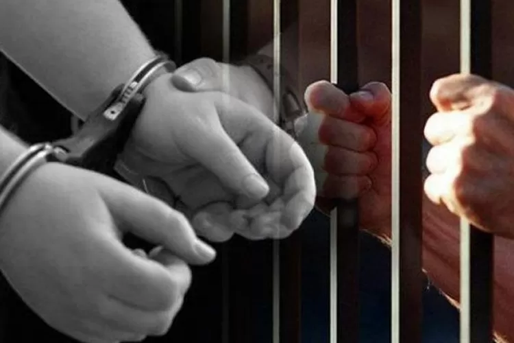 WhatsApp Image 2021-05-25 at 12.11.55 PM