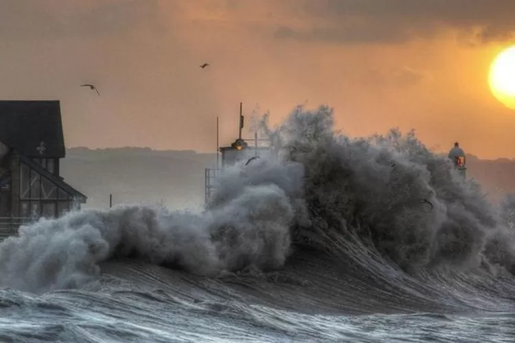 WhatsApp Image 2021-05-26 at 11.38.23 AM