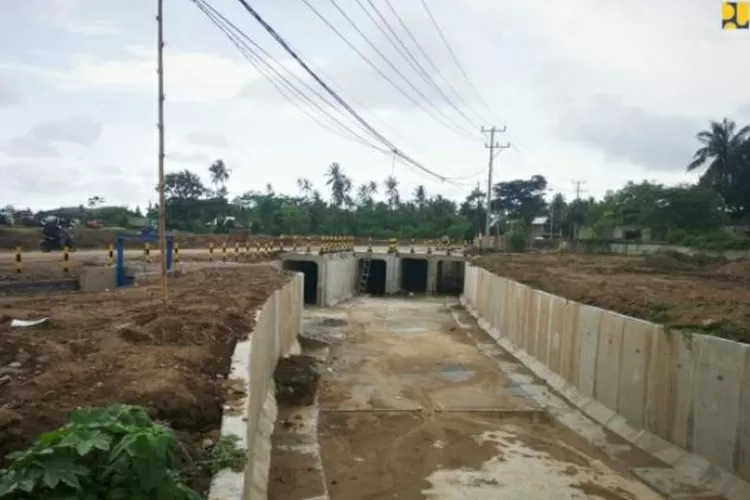 WhatsApp Image 2021-06-03 at 12.33.01 PM