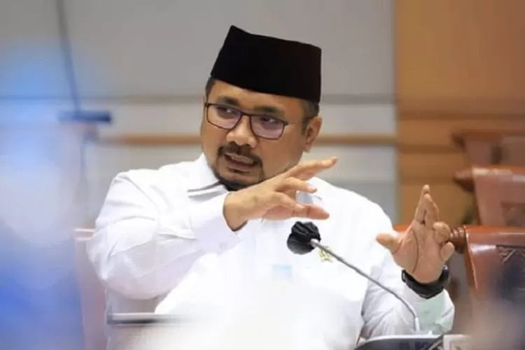 WhatsApp Image 2021-06-03 at 4.45.44 PM