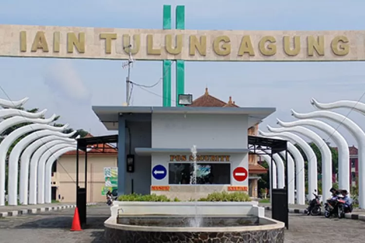 WhatsApp Image 2021-06-07 at 11.53.16 AM