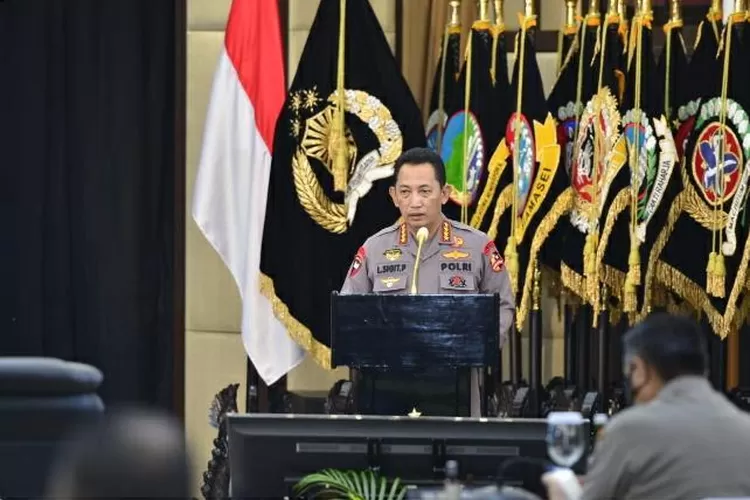 WhatsApp Image 2021-06-11 at 11.10.20 AM