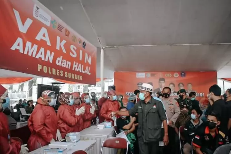 WhatsApp Image 2021-06-26 at 4.03.14 PM