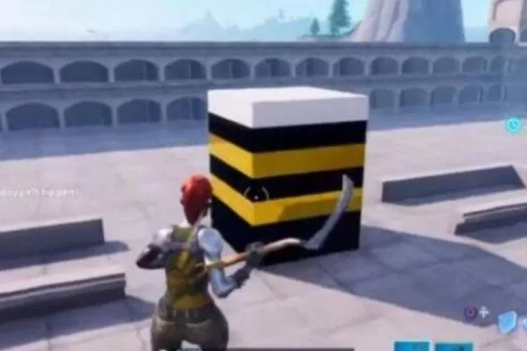 WhatsApp Image 2021-07-07 at 10.53.05 AM