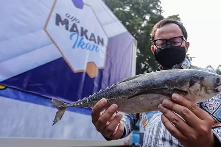 WhatsApp Image 2021-07-17 at 9.38.54 PM