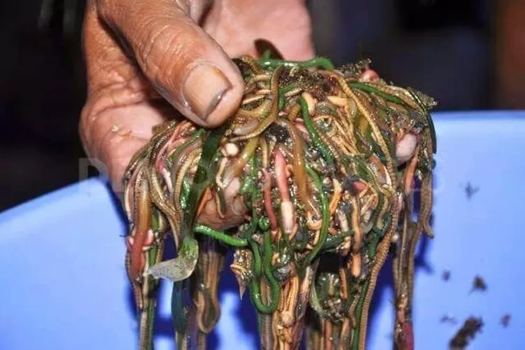 images_berita_Jan17_WhatsApp-Image-2017-02-18-at-18.55.23