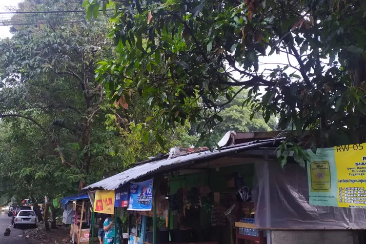 WhatsApp Image 2020-09-15 at 10.00.54