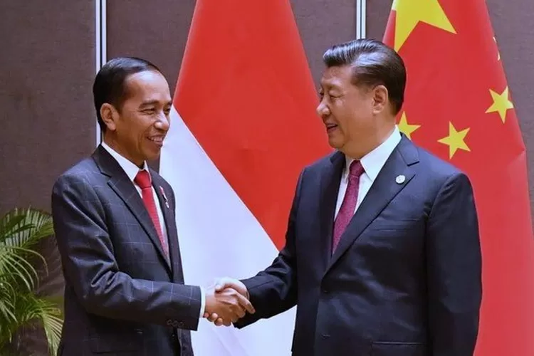 d3bbd610-32b5-4aeb-b1f2-fe83e12ebcaa_43