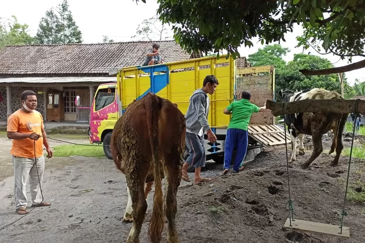 WhatsApp-Image-2020-11-13-at-09.35.54