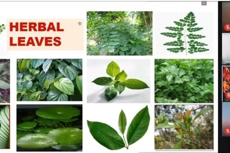 WhatsApp Image 2020-12-08 at 18.47.22