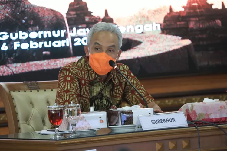 WhatsApp Image 2021-02-16 at 15.31.31