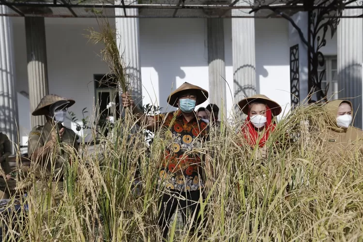 WhatsApp Image 2021-03-22 at 18.23.06