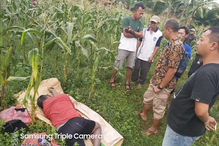 BERDATANGAN: Sejumlah warga Desa Petir terlihat berdatangan menghampiri keberadaan sesosok mayat laki-laki yang terbujur kaku di Ladang Jagung milik warga.