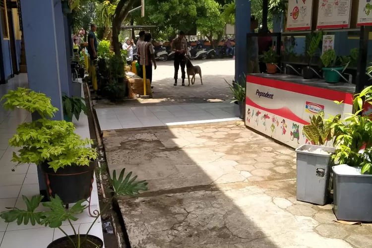 HEBOH: Dua anggota Brimob dengan seekor anjing pelacak sedang memeriksa SDN Sindangsari.