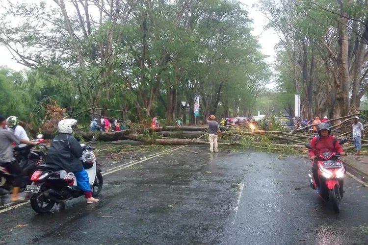 TUMBANG: Pohon tumbang di Jalan Raya Perumahan Citra Indah menghambat pengguna jalan.