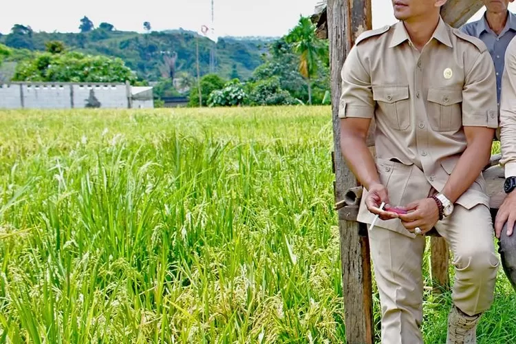 JENAL MUTAQIN Wakil Ketua I DPRD Kota Bogor.