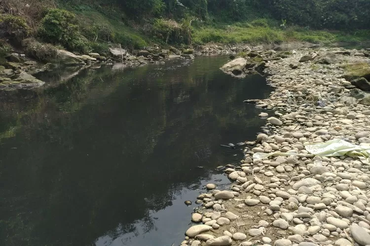 Kondisi sungai di Cileungsi diduga tercemar limbah pabrik