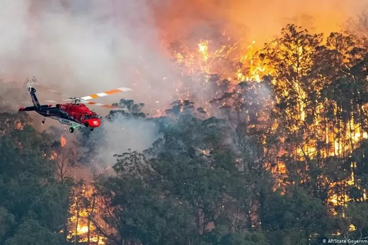 Kebakaran hutan di Australia (Foto: DW (News)