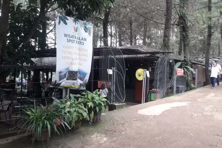 TAK BERIZIN: Kafe Daong ternyata belum mempunyai izin dan dibangun di atas lahan Perhutani.