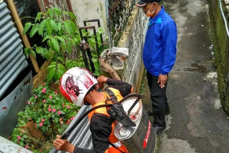 BASMI: Petugas BPBD Kota Sukabumi menyemprotkan cairan pembasmi serangga di sarang ulat bulu, Jalan Pajagalan, RT 02/03, Kecamatan Nyomplong, Kelurahan Warudoyong, Kota Sukabum