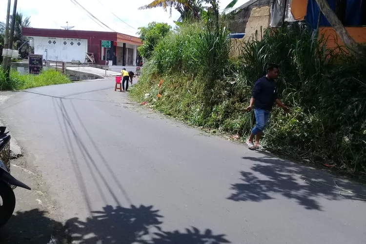 LIAR: Tanaman liar di ruas Jalan Cigombong mengganggu para pengendara.