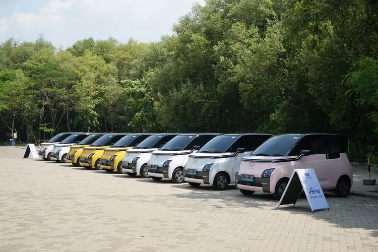 Wuling Air ev jadi mobil listrik termurah di Indonesia. Foto: Dok. Wuling Motors