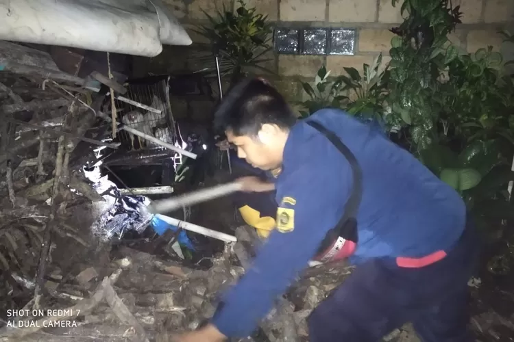 Petugas Damkar Kabupaten Bogor saat mengevakuasi ular sanca di Desa Sirnagalih, Kecamatan Tamansari, Kabupaten Bogor, Jumat 30 Desember 2022 dini hari. (Dok. Dinas Damkar Kabupaten Bogor)