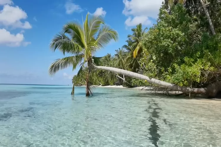 Keindahan Pulau Awera (YouTube ADEWWAHYU)