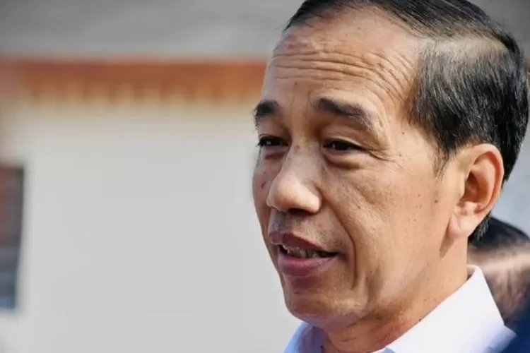 Presiden Jokowi tahu sering dapat ejekan hingga cacian. (Instagram @jokowi.)