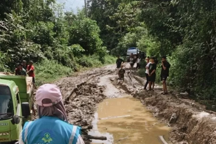 Lewati Jalan Berlumpur, Srikandi PLN Salurkan Listrik ke Daerah 3T di Sulawesi (Humas PLN )