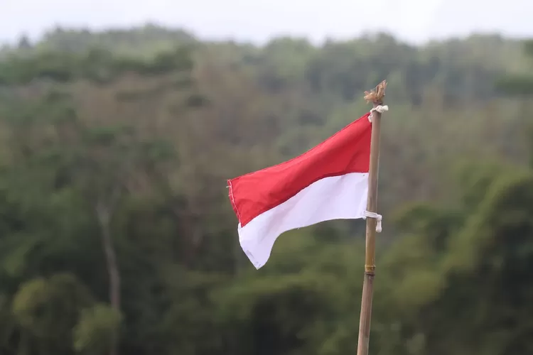 Ilustrasi bendera Indonesia (Pixabay/ mufidpwt)
