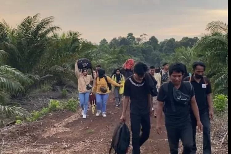 TNI AL Gagalkan Pengiriman 31 PMI ilegal di Hutan Bakau Pantai Sepahat, Bengkalis. (Dispenal)