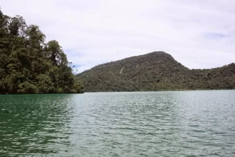Danau Laut Tinggal Sumatera Barat (ksmtour.com)