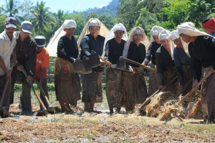 Mengungkap Keunikan Perkampungan Adat Nagari Sijunjung, Jejak Matrilineal Minangkabau yang Abadi/Kebudayaan.kemendikbud