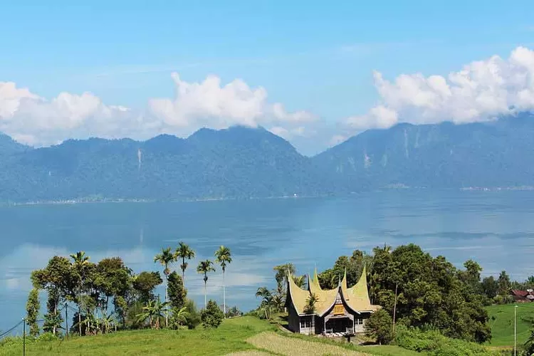 Flora dan Fauna di Danau Meninjau Tetap Terjaga Sejak Zaman Nenek Moyang, Ada Pohon Raksasa Berusia 560 Tahun