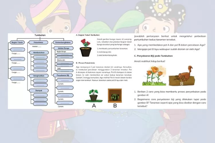 IPAS kelas 4 halaman 30 31 32 Kurikulum Merdeka: Bagian tumbuhan, fotosintesis, dan perkembangbiakan