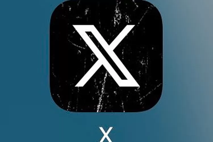 Elon Musk sebut Twitter atau X nantinya bisa melakukan voice atau video call (Foto: Gorajuara/ Twitter/ @elonmusk)