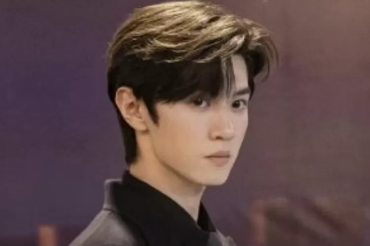 Semakin Melejit Namanya Setelah Main di Drama &lsquo;Hidden Love&rsquo;, Chen Zhe Yuan Akan Kembali dengan Drama Terbaru (Gorajuara.com/dok: Tangkapan Layar Mydramalist )