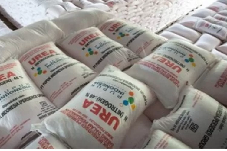 Pupuk Urea Bersubsidi di Aceh Tenggara pada Kamis (24/8/2023) masih dijual dengan harga diatas HET  (Realitasonline.id/Dok)