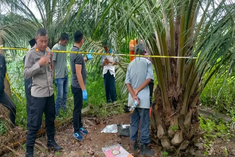 Petugas Inafis Polresta Deli Serdang memeriksa kondisi tubuh luar korban tewas di ladang (Realitasonline.id/zul)