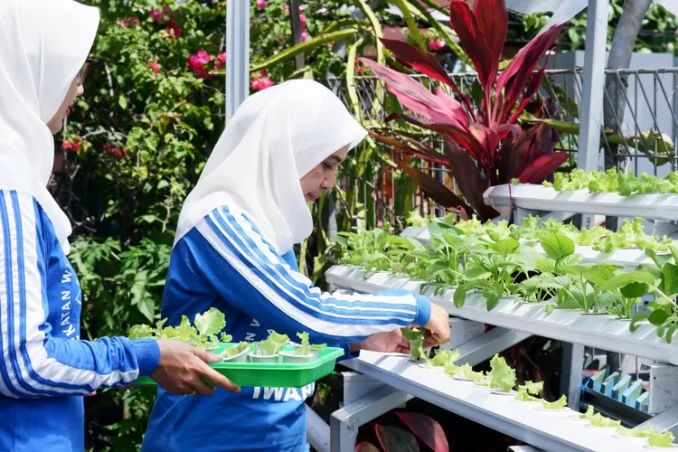 Lewat Program BRInita, BRI Bangun Kesadaran Pertanian Perkotaan di Banjarmasin