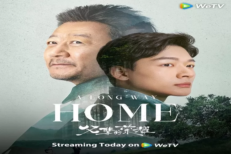 A Long Way Home Tayang 27 Agustus 2023 di WeTV Dibintangi Zhang Wan Yi (instagram.com/@wetvmalaysia)
